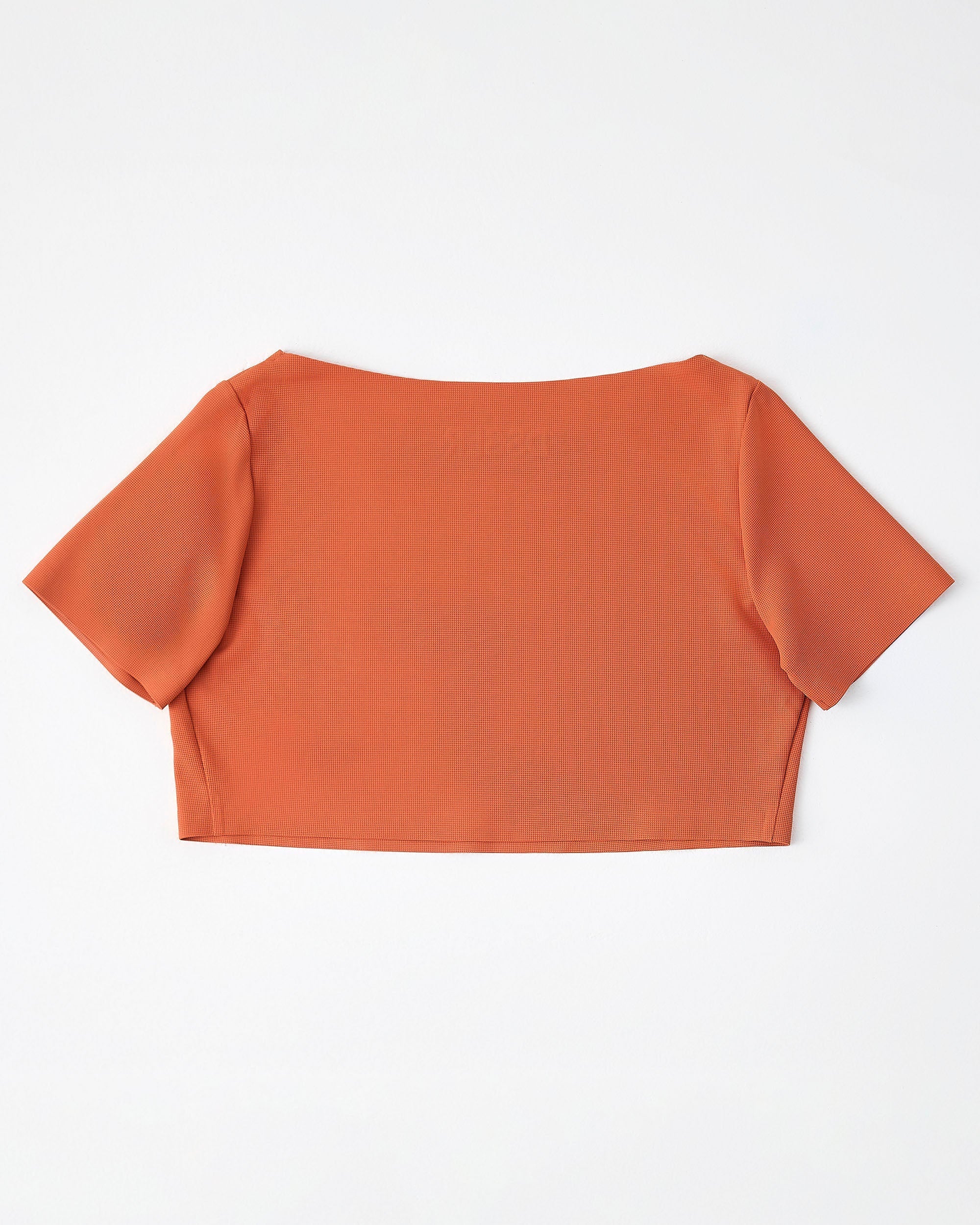 Dsslr: cropped shirt - Clay Rouge